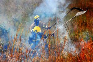 Prevenção a incêndios florestais intensificada até julho