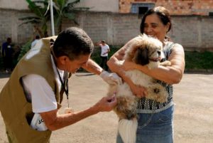 Campanha de vacinação antirrábica movimenta o DF