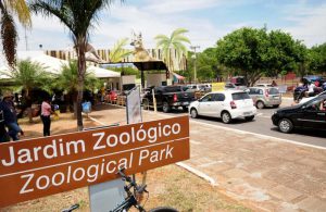 Zoo altera regras na venda antecipada de ingressos