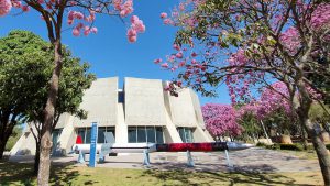 Brasília receberá o Immer – Festival Internacional de Mídias Imersivas e Fulldome