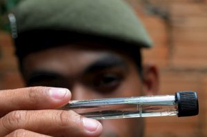 Técnicas inovadoras de combate reduzem casos de dengue no DF