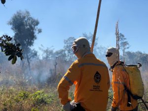 Aceiros mecânicos previnem incêndios na APA Gama e Cabeça de Veado