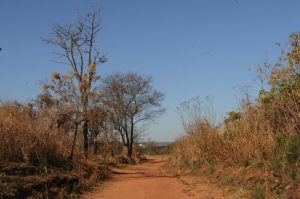 Nova licitação para obras no Parque Ecológico Burle Marx