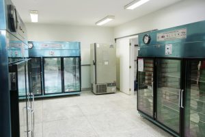 DF está pronto para receber vacina Pfizer/BioNTech