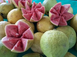 Feira da Goiaba impulsiona a economia e o turismo de Brazlândia