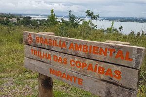Parque Distrital das Copaíbas de cara nova neste sábado (5)