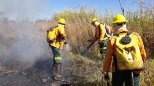 Defesa Civil alerta para cuidados no período de estiagem