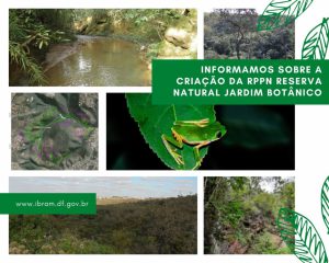 Vamos conhecer a Reserva Natural Jardim Botânico?