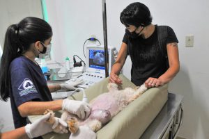 Hospital Veterinário registra mais de 18 mil atendimentos em abril