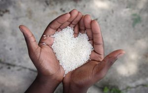 Hora de unir forças: Em ação inédita, shoppings do Distrito Federal se juntam para arrecadar 10 toneladas de alimentos para famílias em situação de vulnerabilidade social