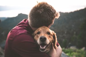 Encontro reúne novidades do setor pet