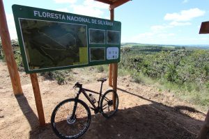 Santuário de preservação, Floresta Nacional de Silvânia proporciona passeio pela riqueza do cerrado