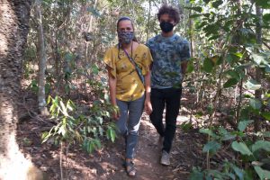 Solte as asas para curtir a natureza com vista privilegiada