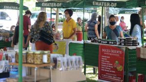 Feira rural com apoio da Emater de volta ao Parque da Cidade