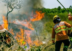 Olha a seca! Cuidado com a queima de lixo e poda de árvores