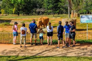 Brasiliense aproveita feriado para passear no Zoológico