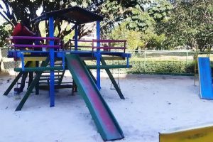 Podas, limpeza e obras no Sudoeste