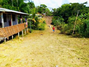 Estudo mostra realidade das ações de produtividade nas comunidades quilombolas do Amapá