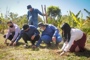Farmácia Viva adota cultivo biodinâmico de plantas medicinais
