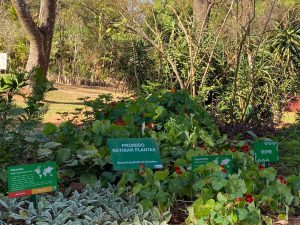 Plantas do Jardim Botânico ganham novas placas de identificação