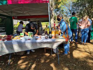 Feira Rural no Sudoeste agrada moradores e frequentadores do Parque Bosque