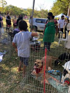 Parque Bosque do Sudoeste ganha um novo espaço para pets