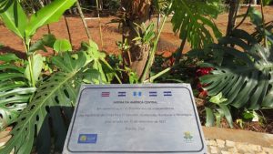 Espécies da América Central ganham espaço no Jardim Botânico