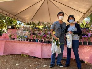 Feira de Orquídeas embeleza o Jardim Botânico