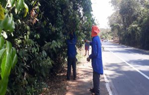 Manutenções frequentes em calçadas evitam obstruções e mantêm paisagismo