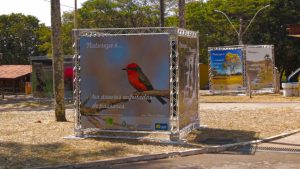 Brasília Ambiental comemora Dia do Cerrado