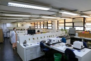 Ritmo de exames diagnósticos é mantido em plena pandemia