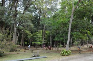 Parque Saburo Onoyma reabre, com medidas de segurança