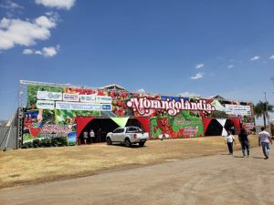 Festa do Morango, Expoabra, desfile cívico-militar, esporte: veja programação do fim de semana