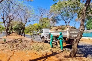Menos 33 toneladas de sujeira de 79 bocas de lobo da Asa Sul