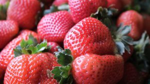 Mostra vai eleger os melhores morangos produzidos no DF