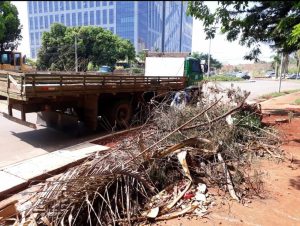 GDF Presente retira 16 toneladas de lixo da 402 Norte
