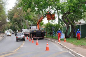 Podas de árvores para ruas mais seguras no Jardim Botânico