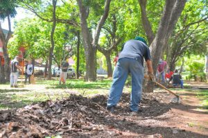 Recolhimento de lixo verde vai evitar problemas com chuvas