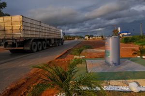 Centenas de papa-lixos orgânicos deixam o DF mais limpo