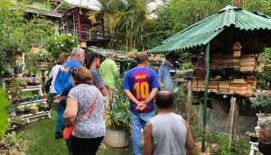 Curso mostra a produtores do DF potencial da apicultura
