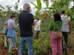 Horta do Lago Norte, uma referência em agricultura urbana