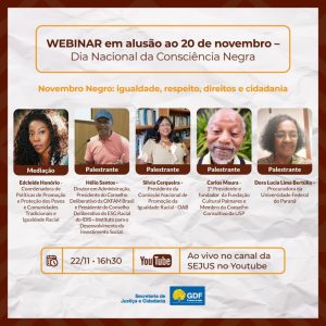 Webinar discute direitos e cidadania da população negra