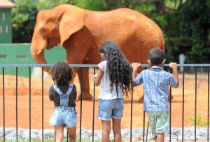 Aberta temporada da Colônia de Feras, no Zoológico