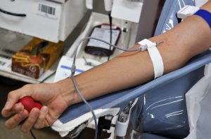 Semana Nacional do Doador de Sangue terá música e coleta móvel