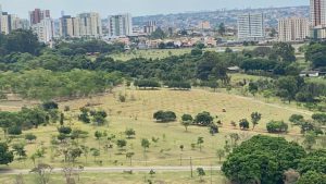 Parque Águas Claras recebe mil mudas neste domingo