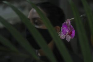Rede de Flores acolhe mulheres em situação de violência doméstica