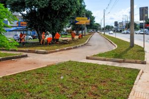 Depois do novo asfalto, Paulo Hungria recebe obras de paisagismo