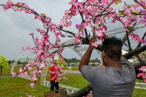 Brasília Iluminada vai gerar mais de 6,8 mil empregos