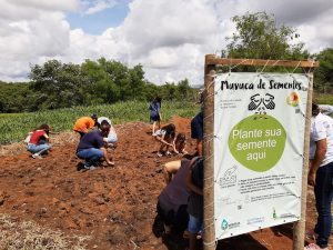 Natal no Cerrado une espírito natalino e meio ambiente