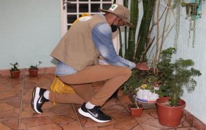 Mesmo com redução da dengue no DF, GDF e Ministério da Saúde reforçam campanha contra proliferação do mosquito